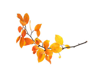 Similar image 22361446