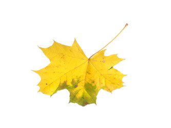 Similar image 22361459