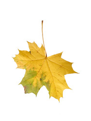 Similar image 22361460