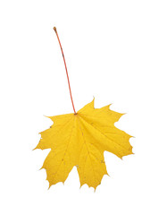 Similar image 22361461