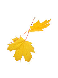 Similar image 22361473