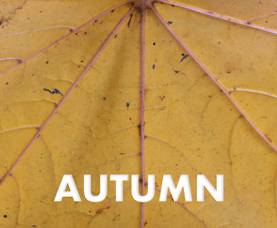 Similar image 22361490