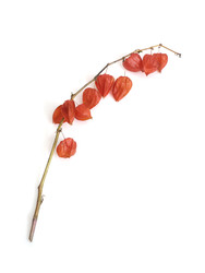 Similar image 22361507