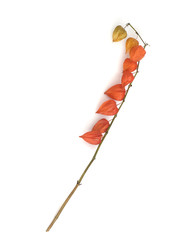 Similar image 22361508