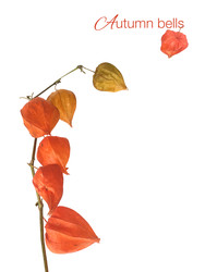 Similar image 22361535