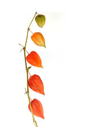 Similar image 22361549