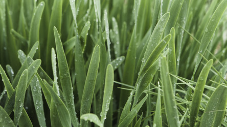 Similar image 22368998