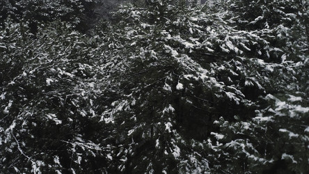 Similar image 22369148