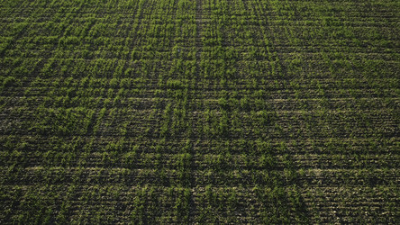 Similar image 22369195