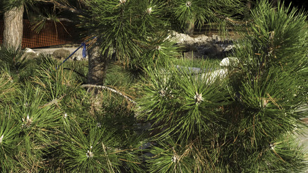 Similar image 22369239