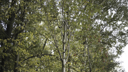 Similar image 22369345