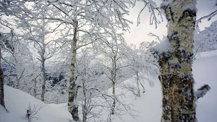 Similar image 22369465