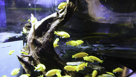 Similar image 22369854