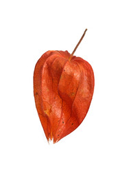 Similar image 22354022