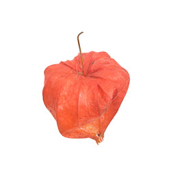 Similar image 22354038