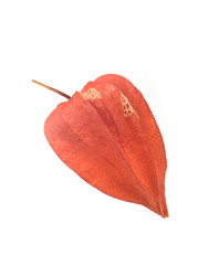 Similar image 22354046