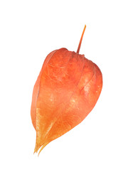 Similar image 22354061