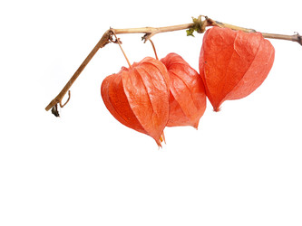 Similar image 22354077