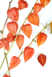 Similar image 22354085