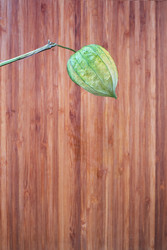 Similar image 22354101