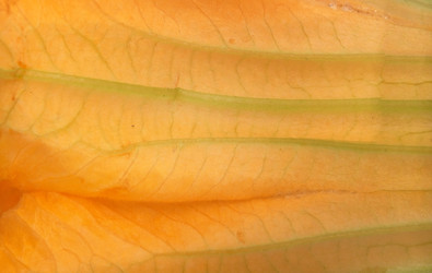 Similar image 22354129