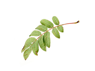 Similar image 22354146