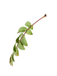 Similar image 22354155