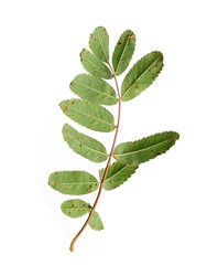 Similar image 22354164