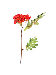 Similar image 22354172