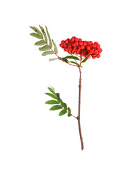 Similar image 22358724