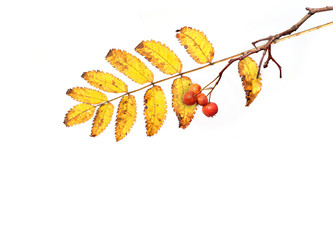 Similar image 22361340