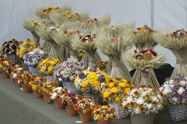 Similar image 22361341