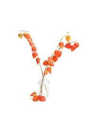 Similar image 22361463