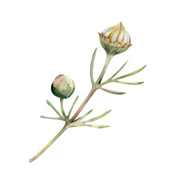 Similar image 22374118