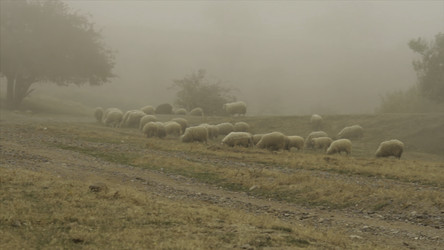 Similar image 22369675