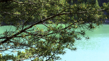 Similar image 22369883