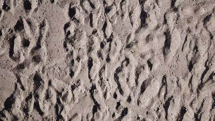 Similar image 22370013