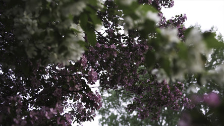 Similar image 22370295