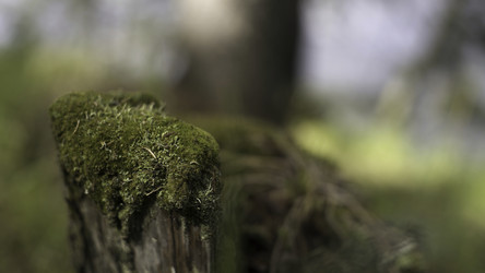 Similar image 22367653