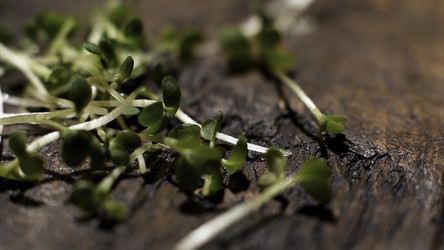 Similar image 22367789