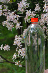 Similar image 22362149