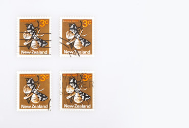 Similar image 22362399