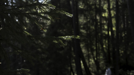 Similar image 22367790