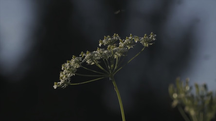 Similar image 22367952