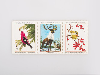 Similar image 22361522