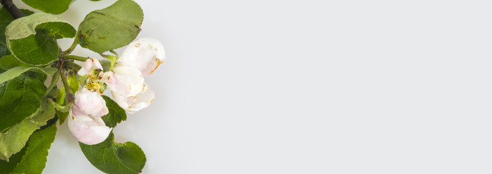 Similar image 22361688