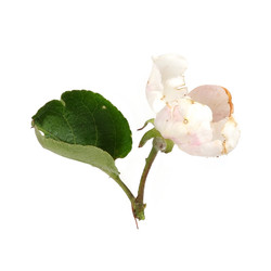 Similar image 22361689