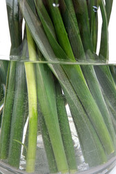 Similar image 22361734