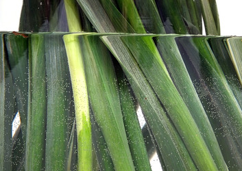 Similar image 22361758