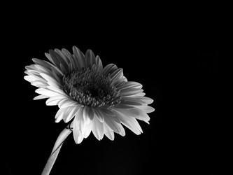 Similar image 22361759